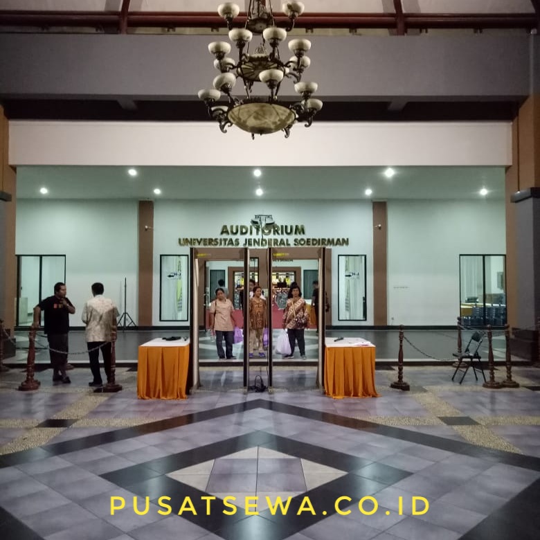 sewa metal detector walktru